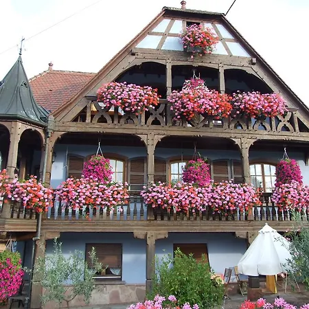 Homestay Chambre D'hotes 